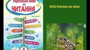 ЖАБА БОЯЗКІША ВІД ЗАЙЦЯ